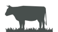 Nose-to-Tail