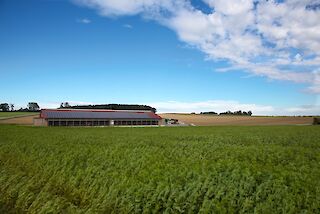 Nachhaltigkeit auf dem Lamplhof