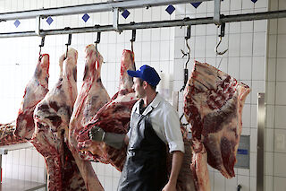 Unsere hofeigene Schlachtung