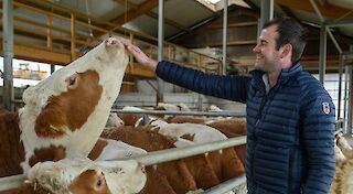 Wir sind digitale Champions!