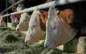 Der Lamplhof für ein starkes Bayern