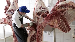 Gesell*in und Meister*in